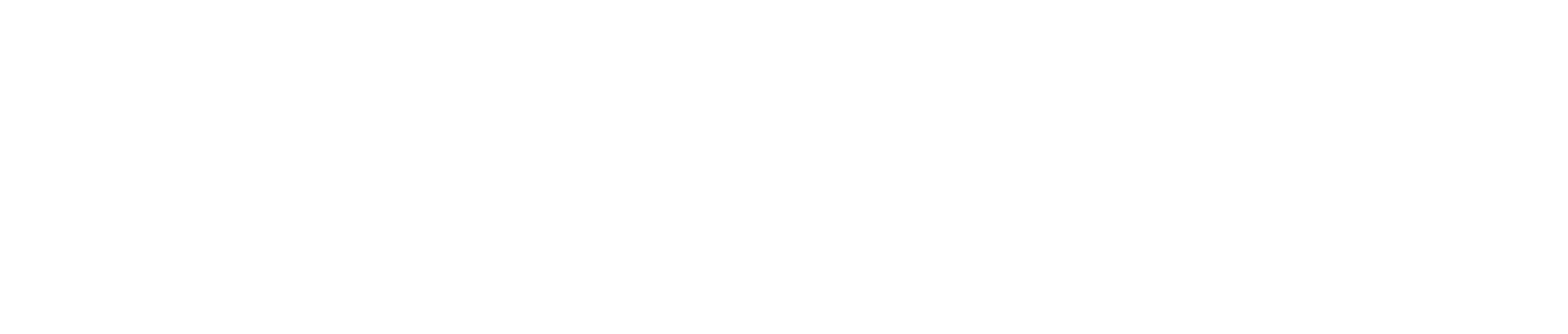 Viniloversus